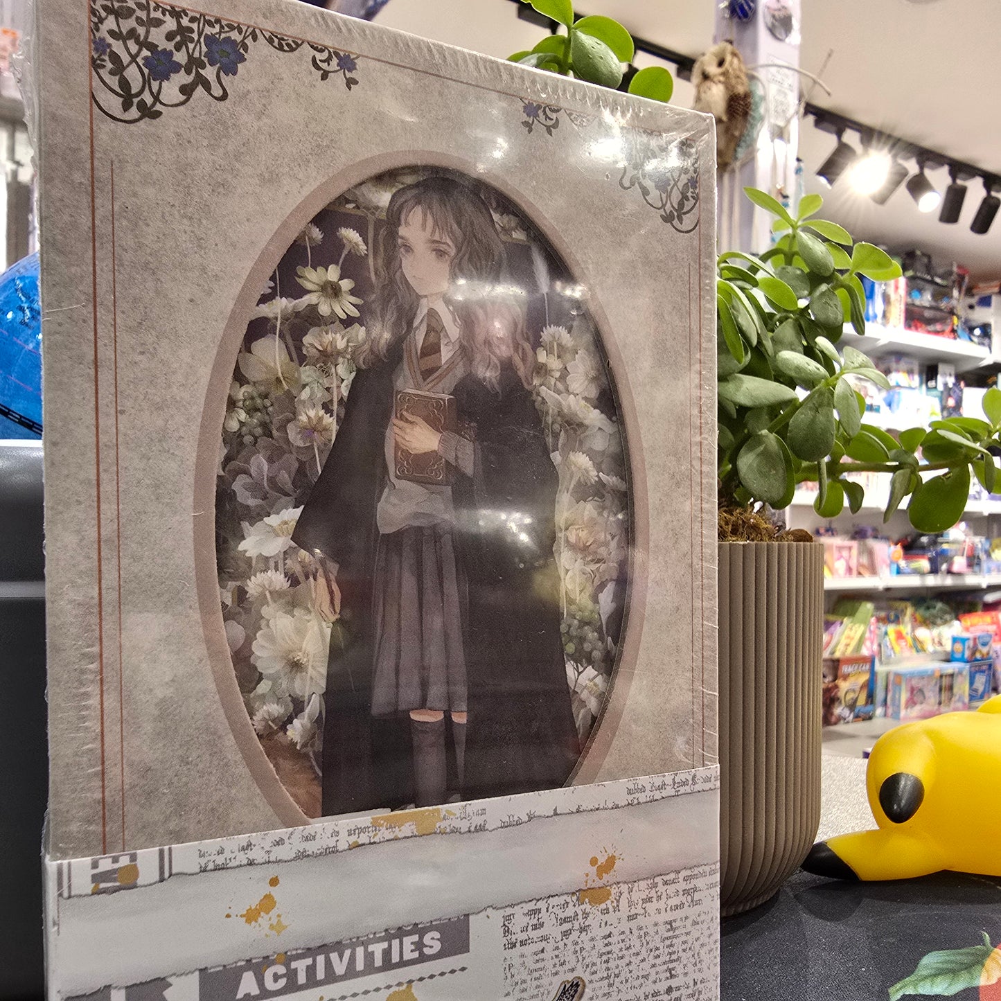 Hermione Granger Merchandise Diary