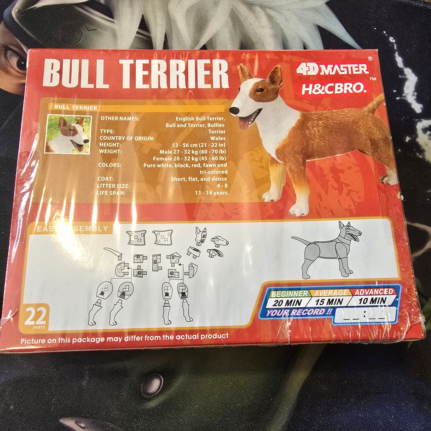 4D Puzzle Bull Terrier