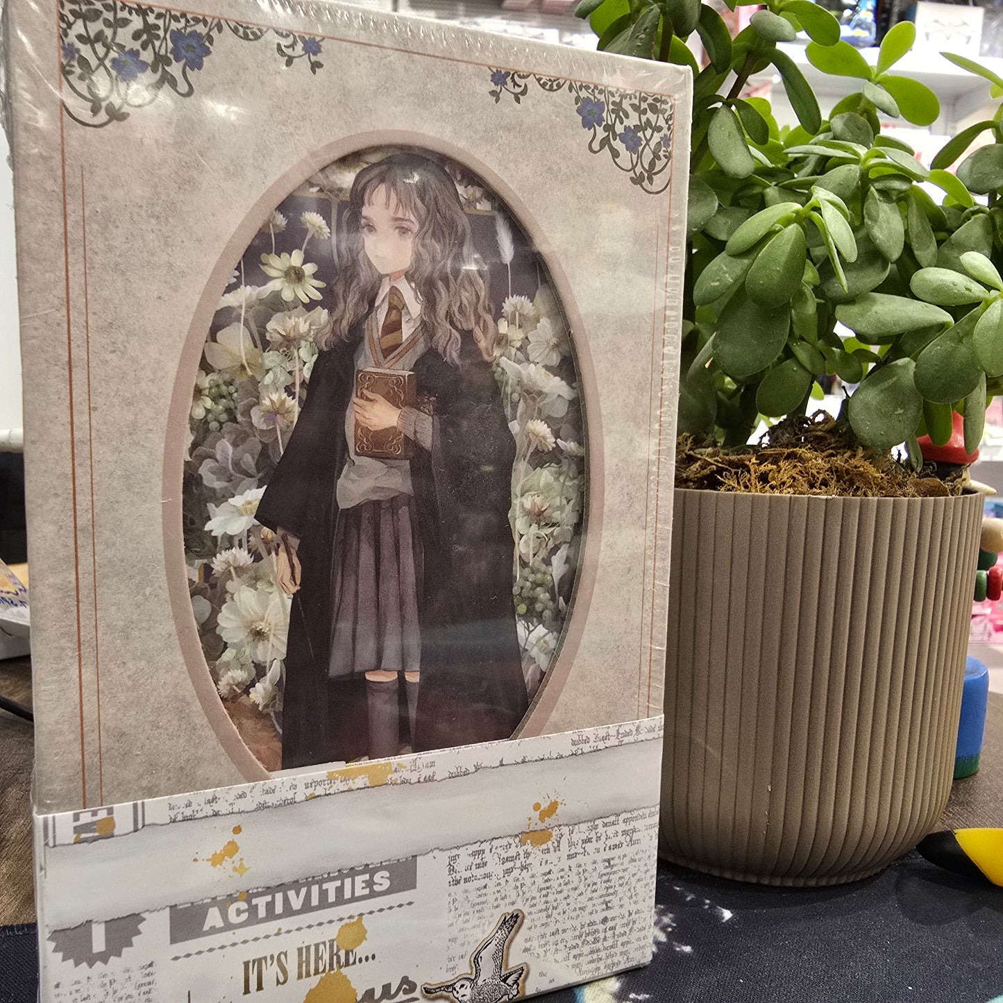 Hermione Granger Merchandise Diary